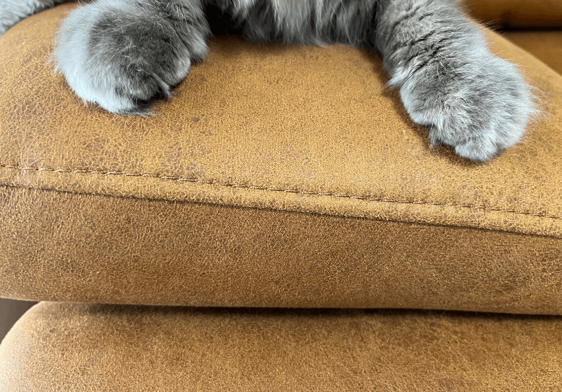トレビソのソファの肘掛けは猫にも人気
